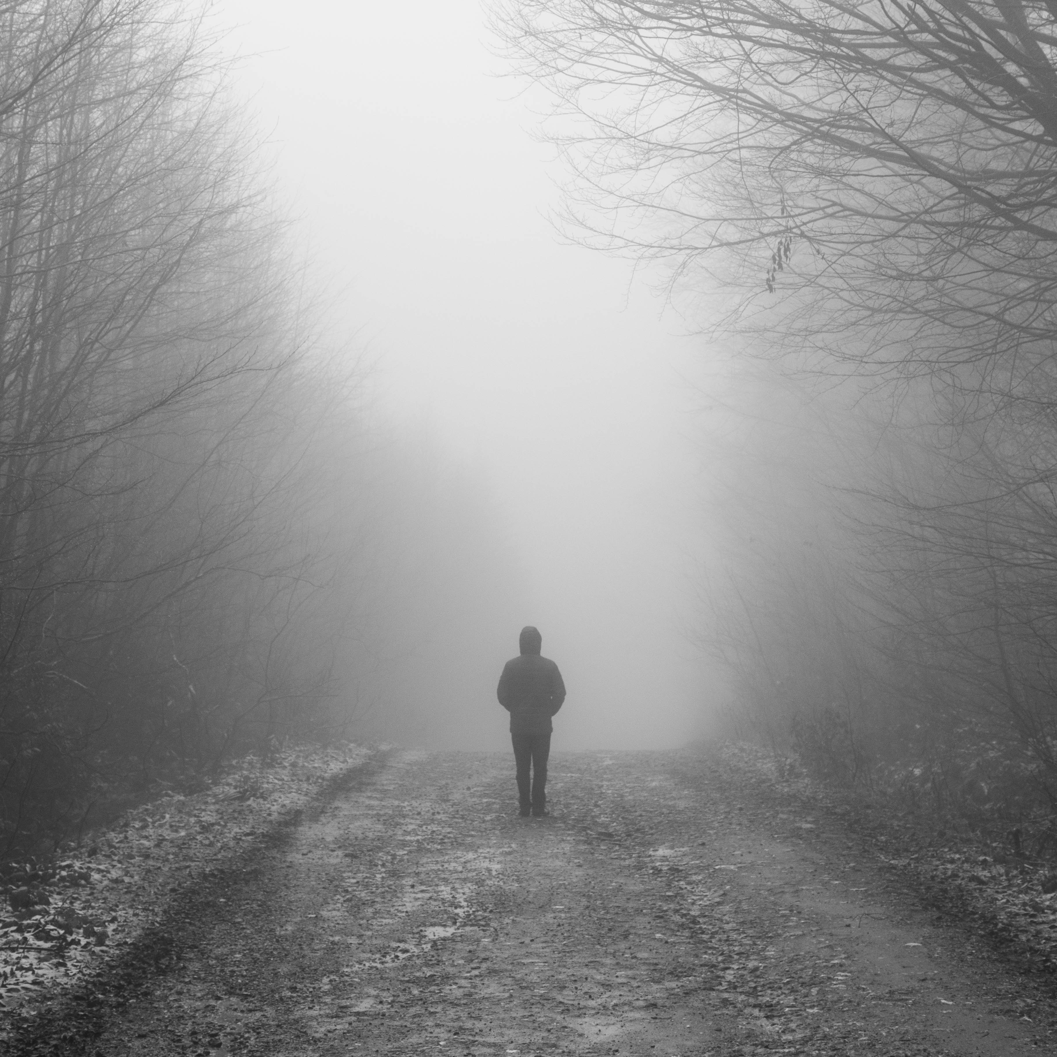 Shame and the Survivor