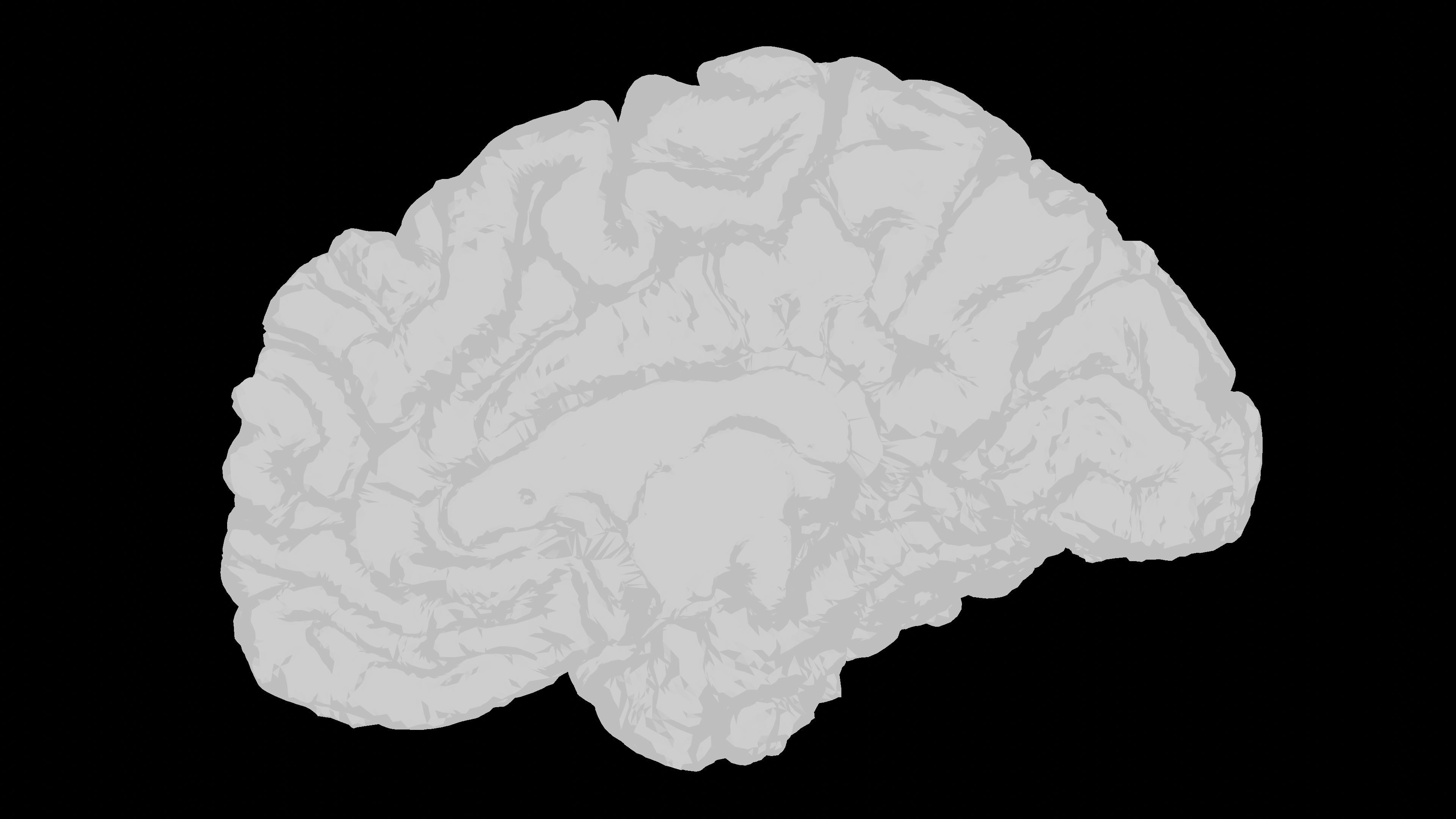 Cognitive Dissonance